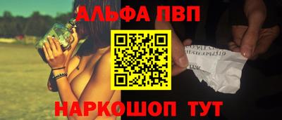 стаф Можга