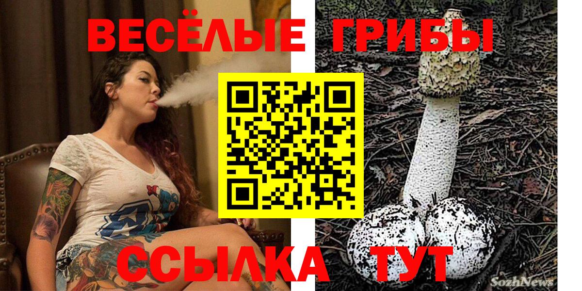 Ртищево  Галлюциногенные грибы прущие грибы  Вход с VPN 